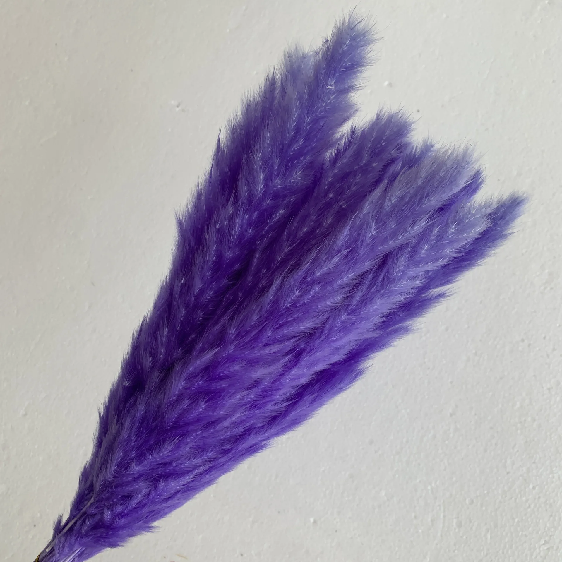 Wholesale Natural Dried Flowers Purple Small Pampas Grass Party Wedding Wall Decoration Home flower arrangement