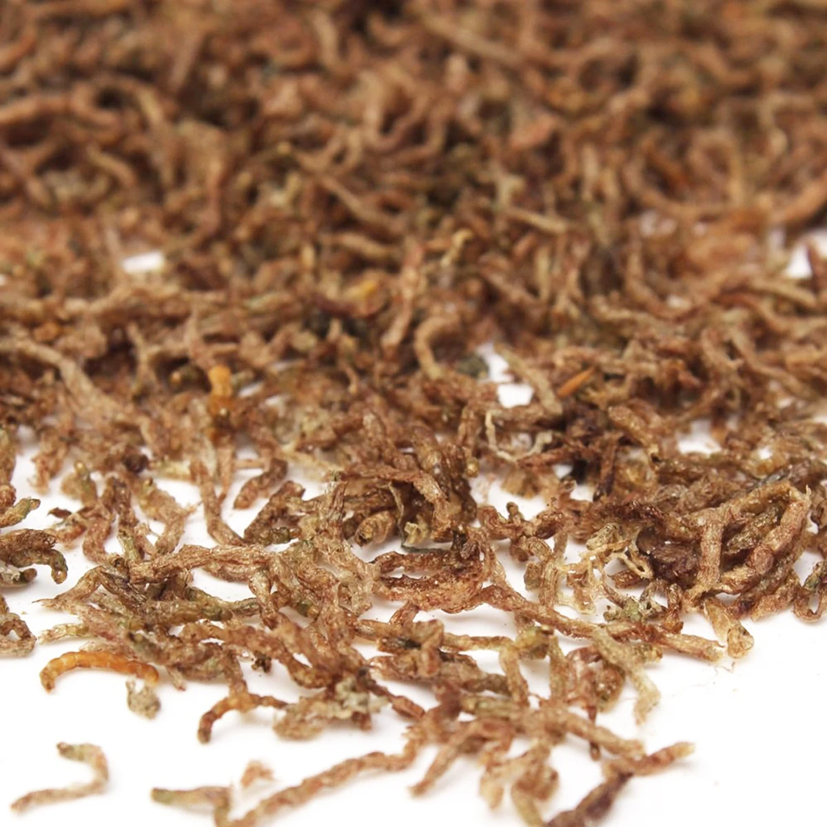  10 gram/Bag Freeze Dried Blood Worm Fresh Tropical Fish Discus Food Feeding Bloodworms For
