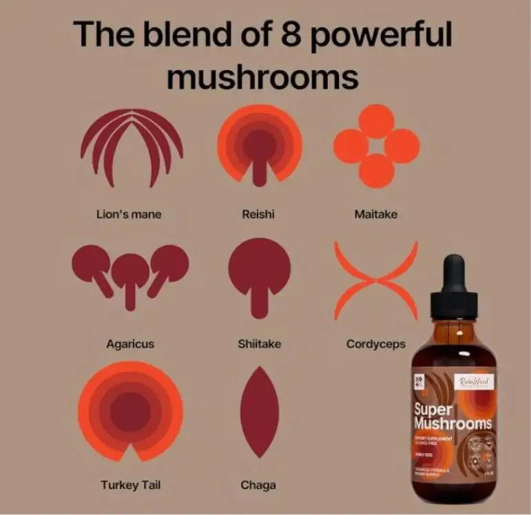 Wholesale Natural 8-in-1 Mushroom Liquid Drops Supplement For Adults