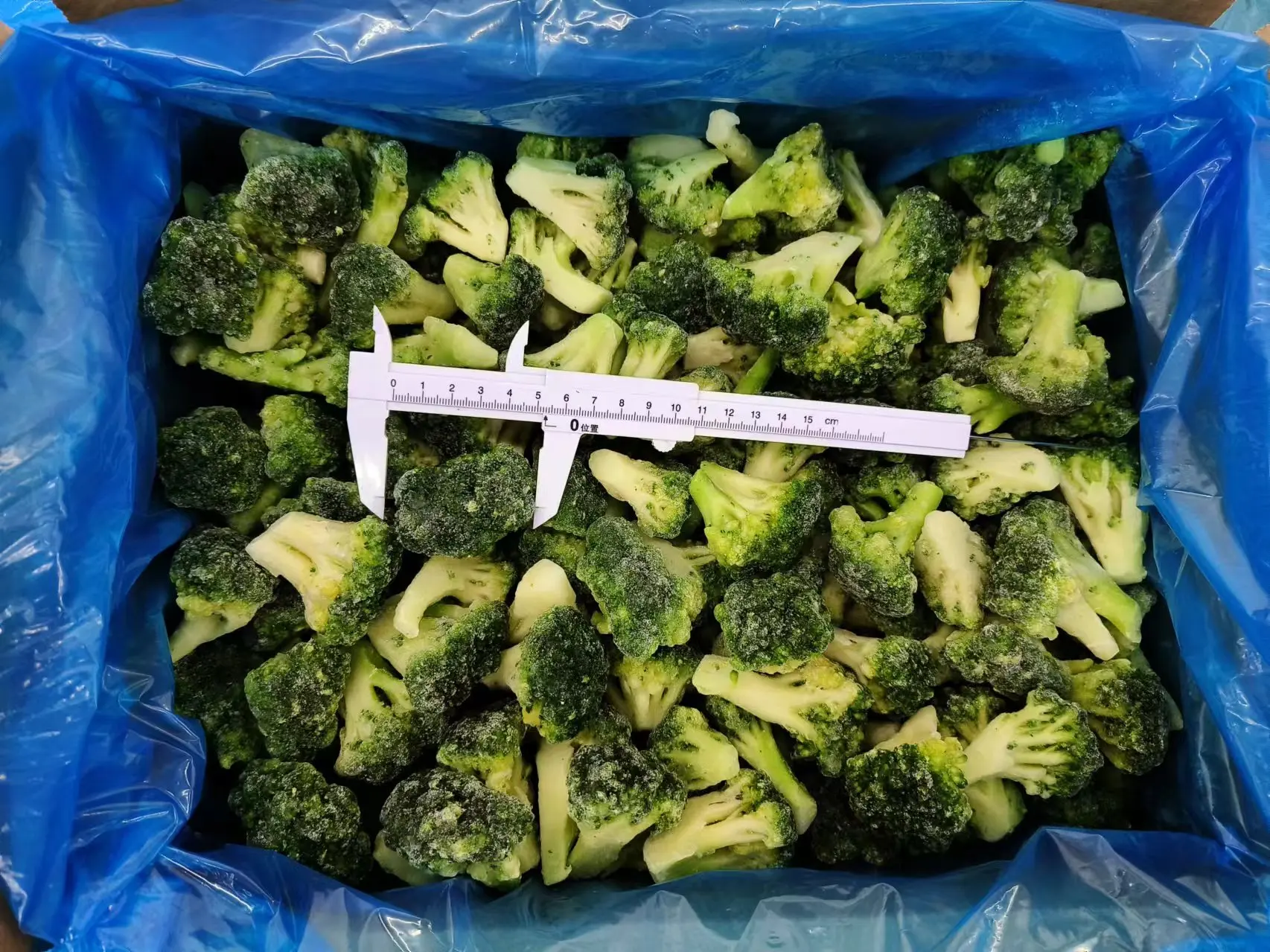 Hot Selling Good Quality Bulk Fresh Cauliflower Organic Vegetables Frozen Broccoli