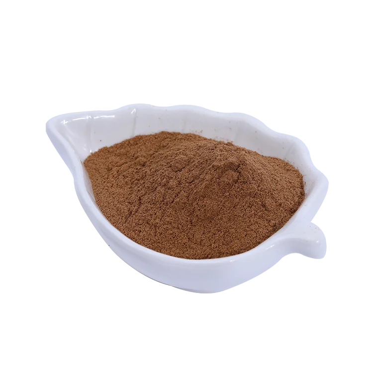 Hot Selling Lions Mane Mushroom Extract Powder 30%  Polysaccharide