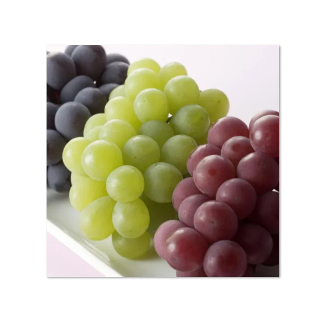 South Africa superior seedless big red and green grapes