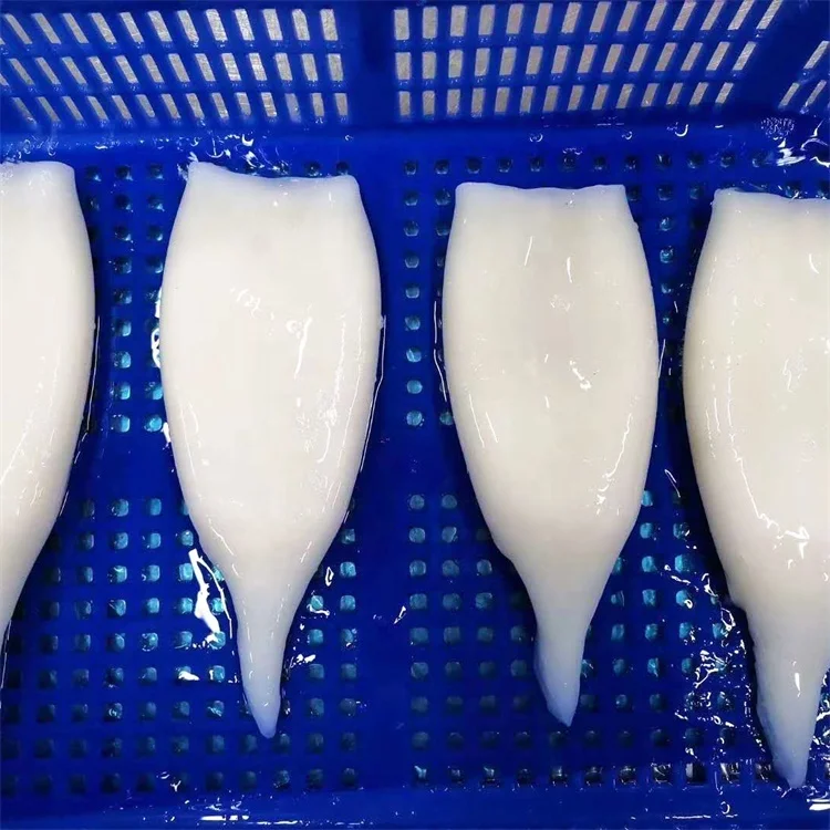 
Sale high quality wholesale sea frozen squid frozen fish seafood 