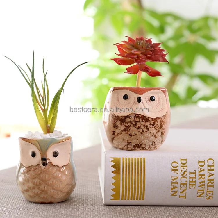 Owl Shaped flower pot decorative succulent pots mini ceramic succulent planter pot a drainage hole