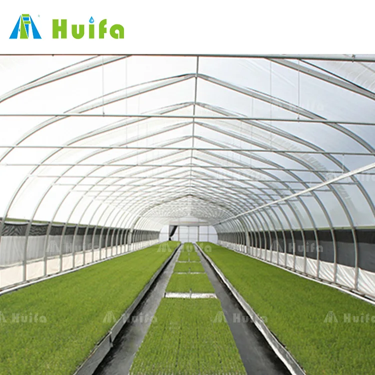 Low Price China Greenhouse With Hydroponic Systems