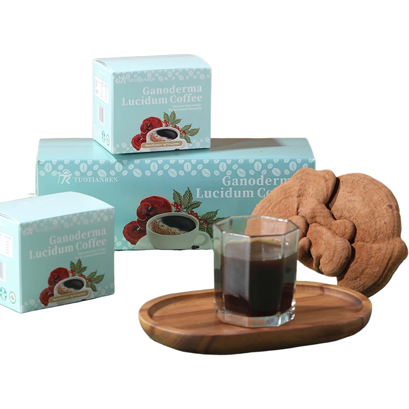 wholesale private label Ganoderma Lucidum Reishi Mushroom  Ling Zhi Powder Coffee  high quality organic