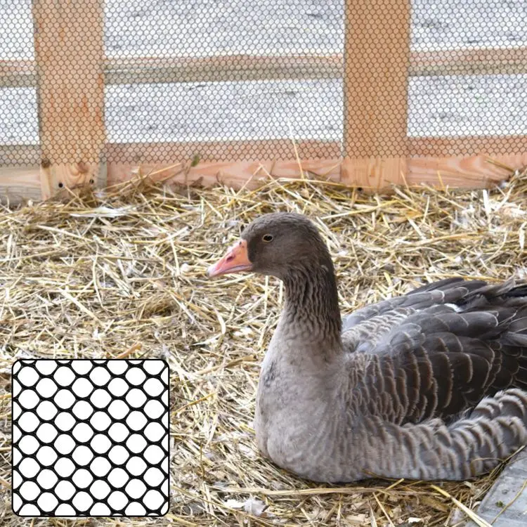 Heavy-Duty Colorful Hexagonal Plastic Poultry Netting for Temporary Yard and Garden Fencing