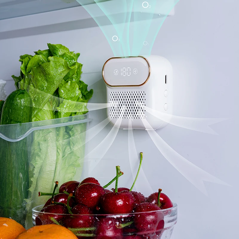 Portable refrigerator deodorizer smart small ozone sterilizer sterilization equipments