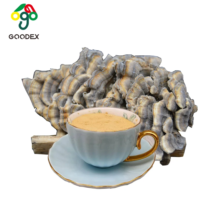 Organic Turkey Tail  Extract Powder Krestin glucan