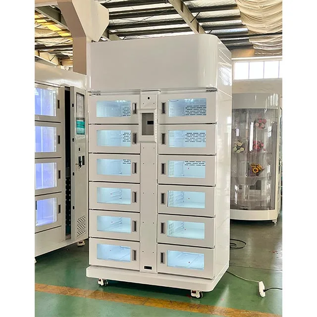 Intelligent RFID Steel Refrigerated Storage Locker Cabinet Weatherproof and Android Wifi Connected for Mall and Gym Use