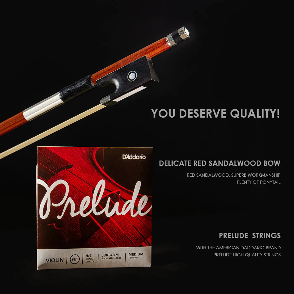 CHRISTINA V05C 4/4 Professional Spruce Violin with Maple Side Gift String Bow Included