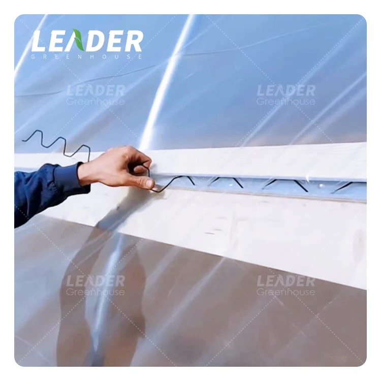 greenhouse accessories 2.0mm 2.3mm plastic coating PVC wiggle wire 2m/pcs film locking zigzag wire