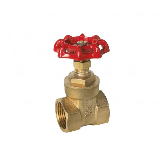 
Forged Brass Water Gate Valve 
