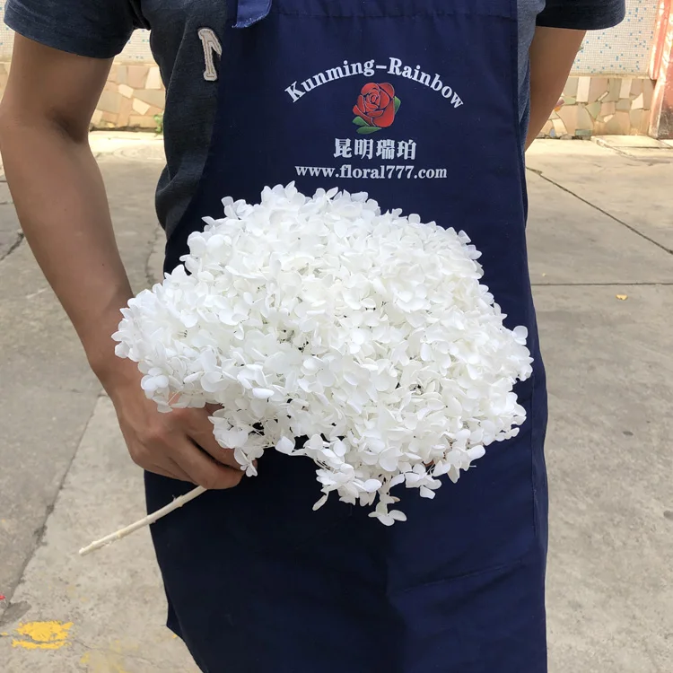 Home Wedding Decorations the Real Touch Natural Dried Hydrangeas flowers artificial Preserved Hydrangeas