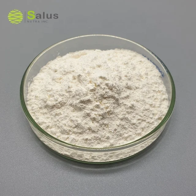 Chondroitin Sulphate Sodium Chondroitin Sulfate 90% 95%