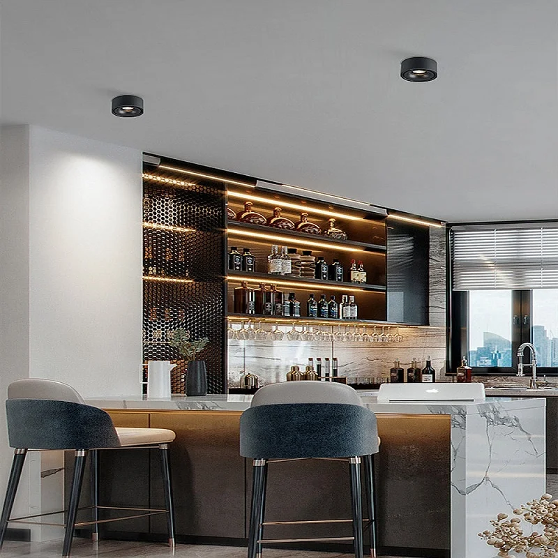 Modern Design Indoor LED Downlight IP44 Rated 7W 10W Aluminum PC Body Warm White Cold White Emitting Surface Mounted Home Hotel