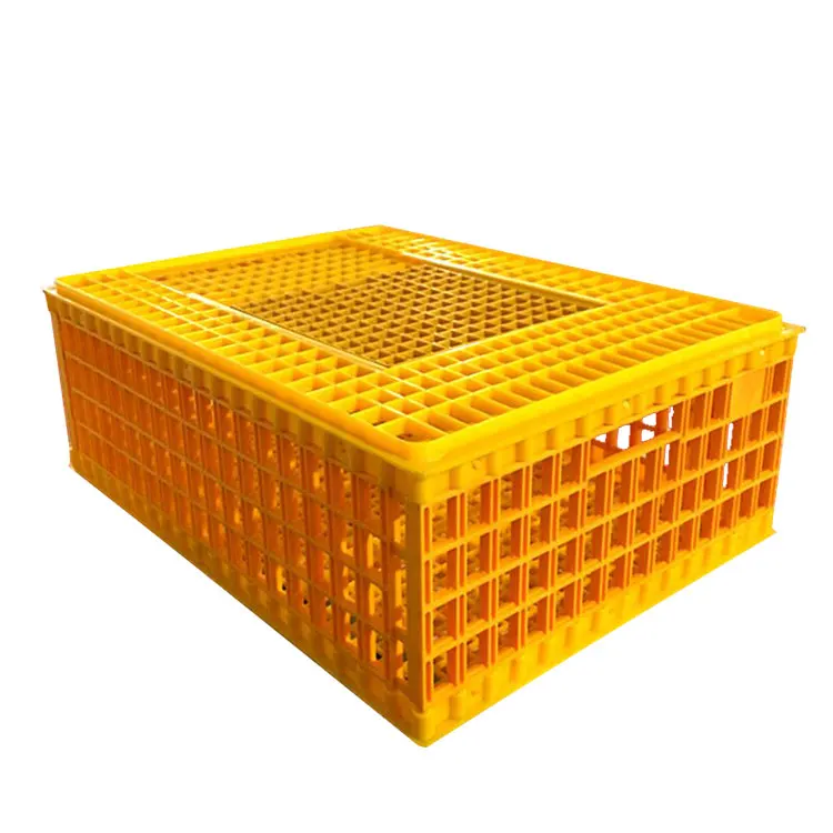 Plastic Chicken Transport Crate /Poultry Carrying Boxes /Used Poultry Cage