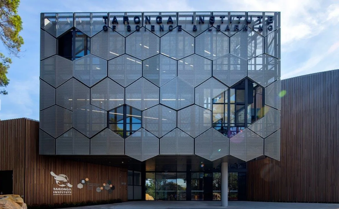 decorative Perforated Sheet 1mm/1.5mm Stainless Steel Perforated Metal Sheet 316