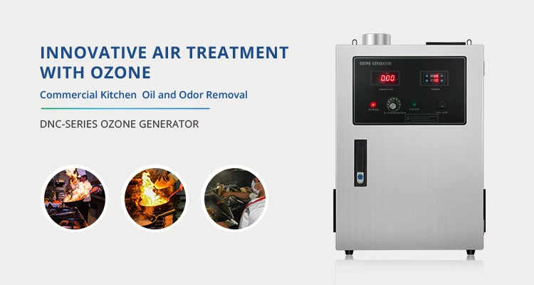 DNC-Series Kitchen Ventilation Ozone Generator restaurant smoke odor elimination