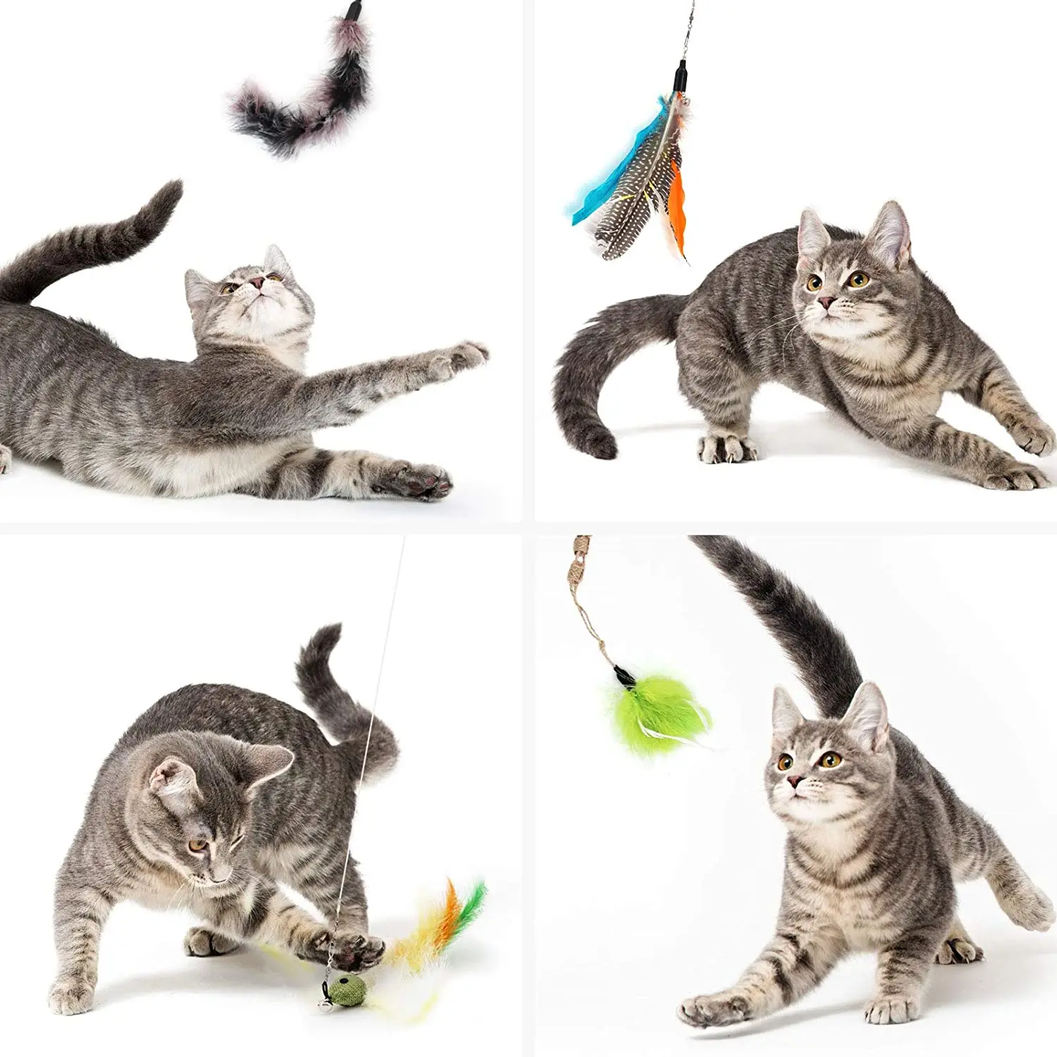 CATT8.jpg