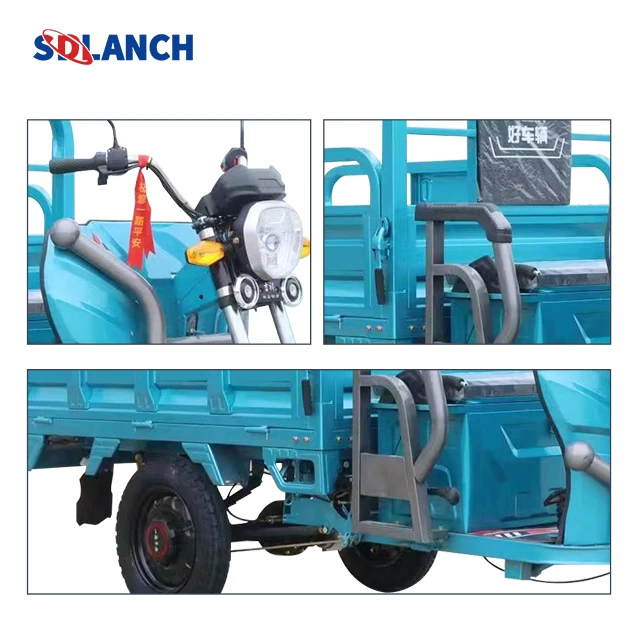 China Electric Adult Tricycle Electric Three Wheeler Cargo 1000w Eec Electric Trike Scooter Cargo Bike