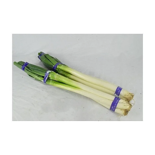 
Sufficient Stocks Of Export High-Quality Green Onions Provide Pure Natural Planted Green Onions Packaging 