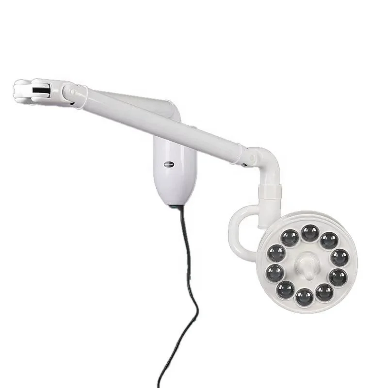 Wall Mounted LED Natural Light Examination Lamp Brightness Adjustable 30W Surgical Exam Light For Veterinary Clinic