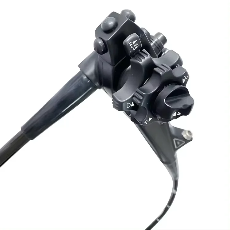 VET Veterinary Adjustable Pet Endoscope Veterinary Instrument Vet Video Gastroscope For Pet Clinic