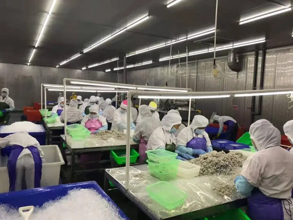  Новые замороженные креветки Vannamei для Вьетнама