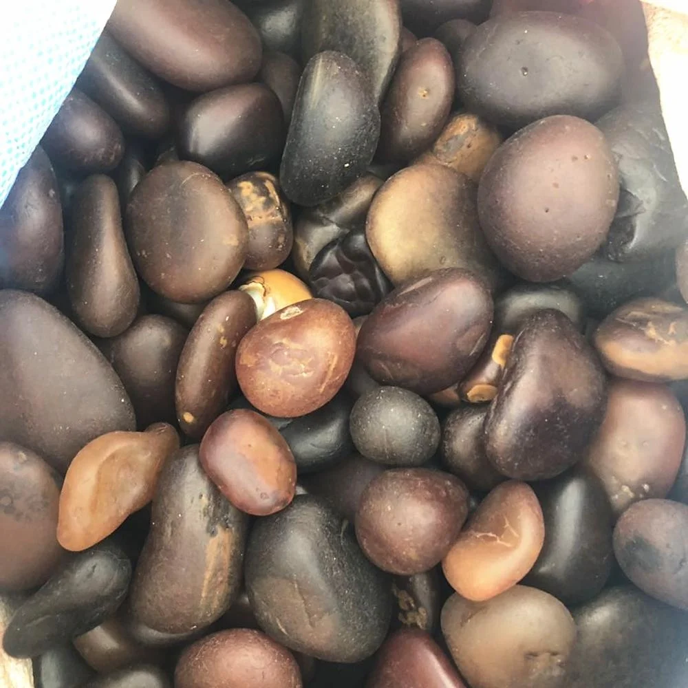 Wholesale Natural Rough Agate Stone Price Raw Agate for sale