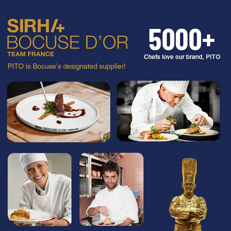 P&T Homeware OEM Customized Luxury Nordic Matte Glaze Porcelain Ceramic Kitchen Utensil Plate Dish Bowl Dinner Dinnerware Set