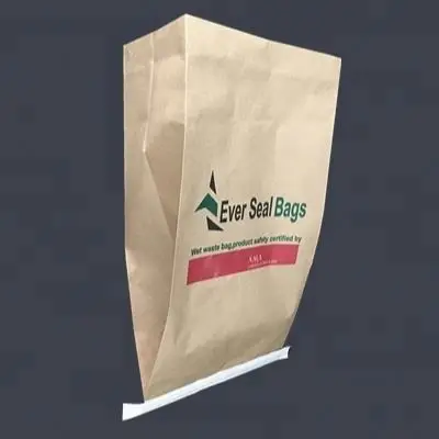 Hot sale Coal Bags 2KG 5KG 5LBS BBQ Barbeque Charcoal Packaging Kraft Paper