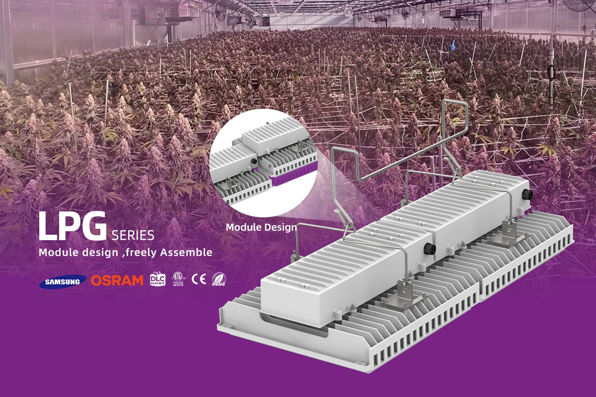 luxgrow top lighting indoor Greenhouse LED Grow Light 800w 1200w OSRAM chip 100-277V for growing medical plant