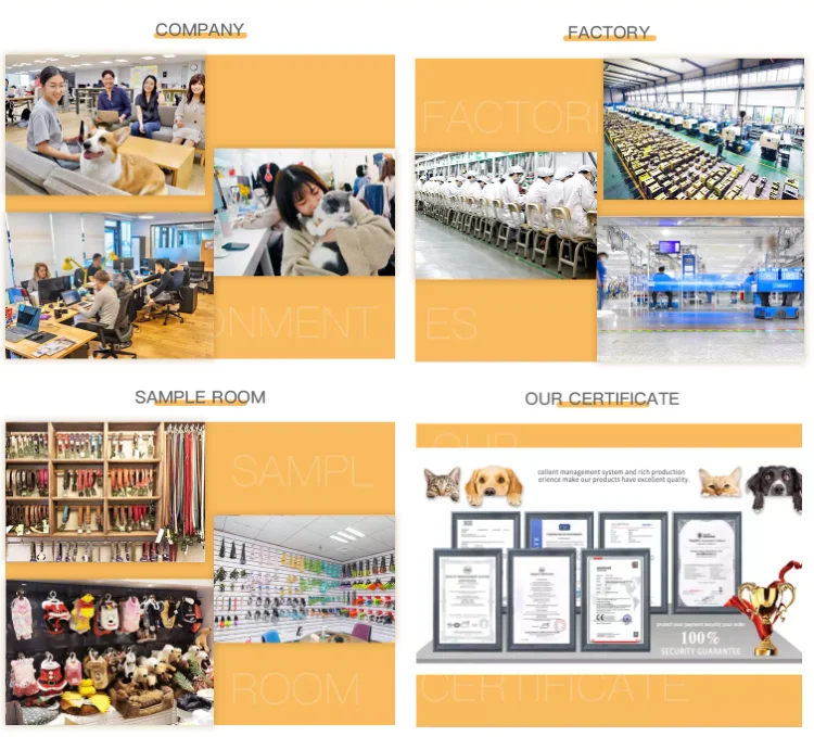 company detail