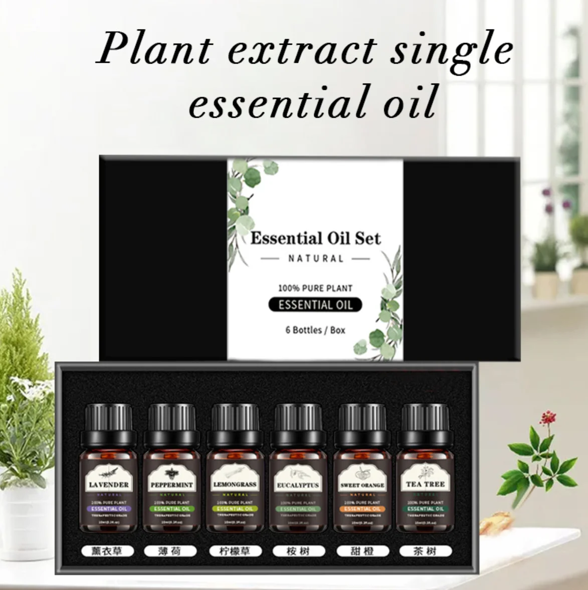 Ecological Manor 100% Organic Pure Tea Tree Sandalwood Lavender Essential Oil 10Ml Natural Gift Care