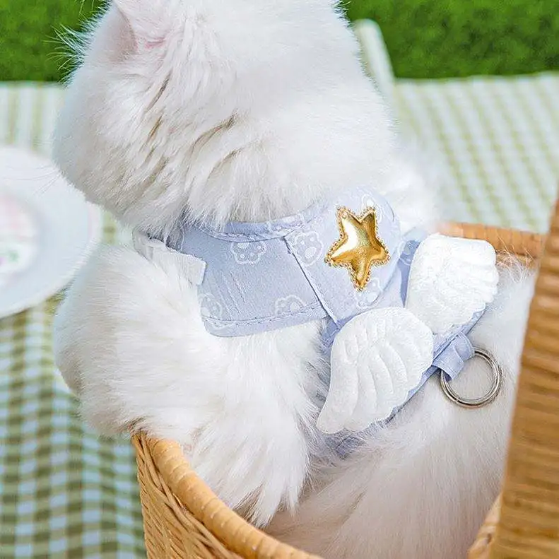 Popular Hot Selling Soft and Breathable 1.5m Angel Wing Design Pet Puppy Harness Set for Small Dog