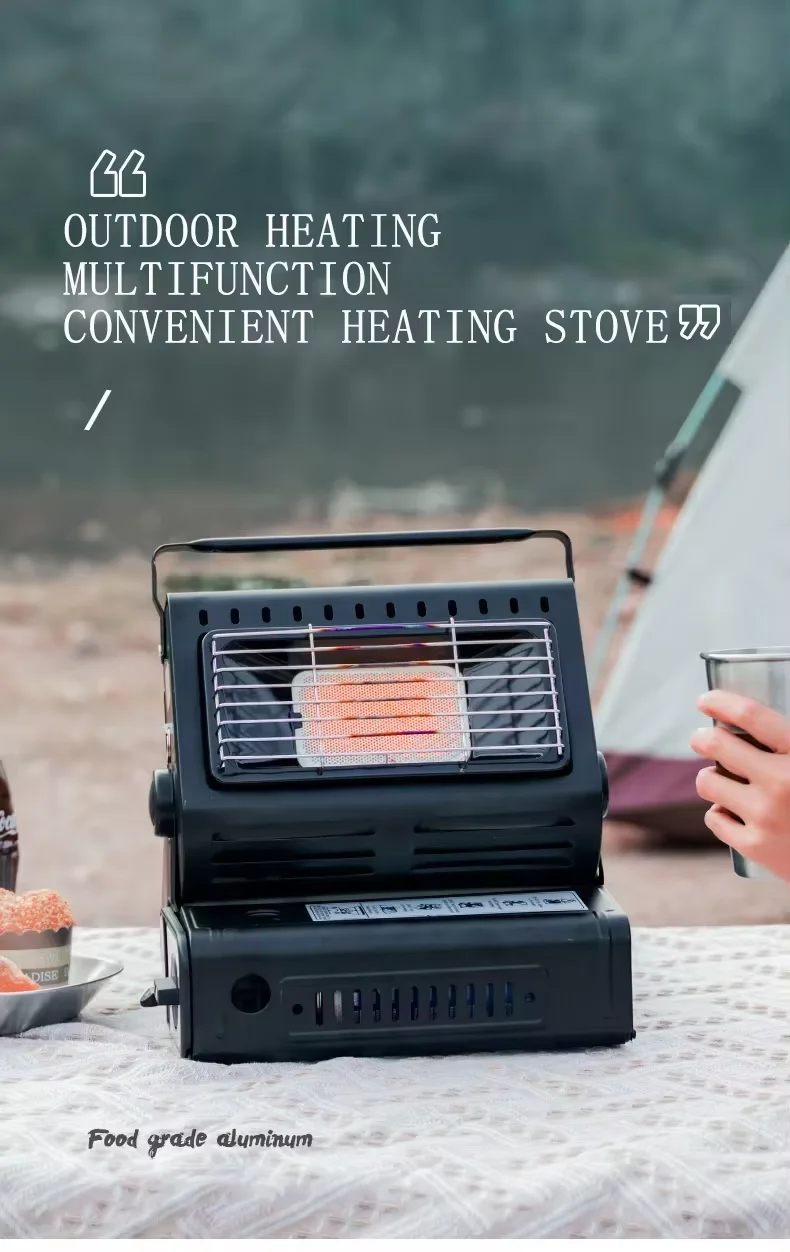 Tankless Gas Water Heater Avicultor Gas Heater Gas Heater 12v