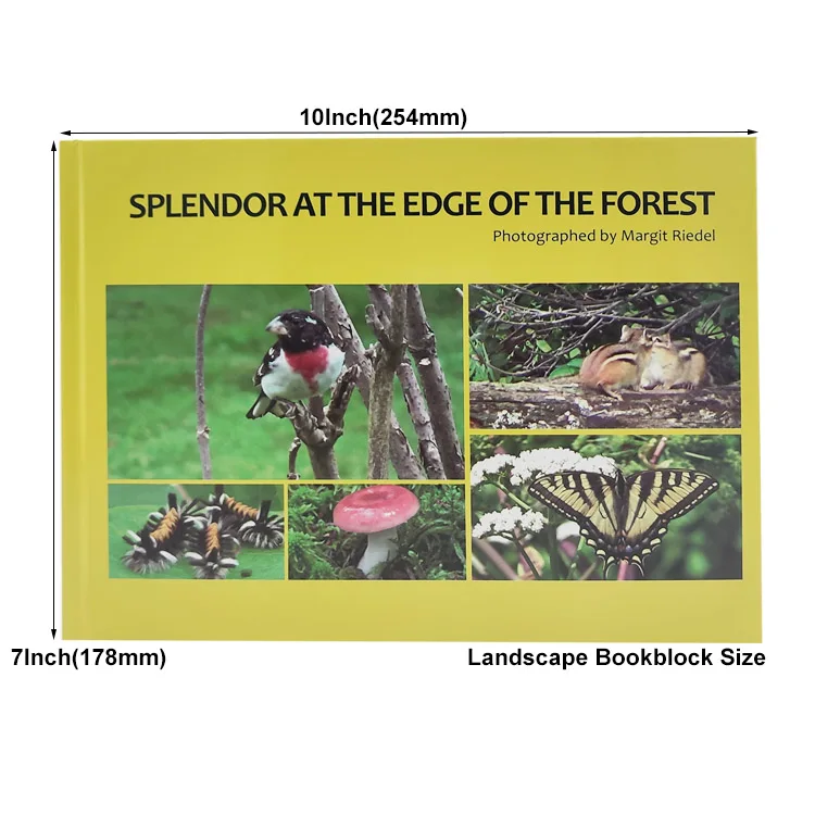 Custom Book Service Hard Cover Photography Graphic Books Full Color Softcover Hardcover Photo Book Printing