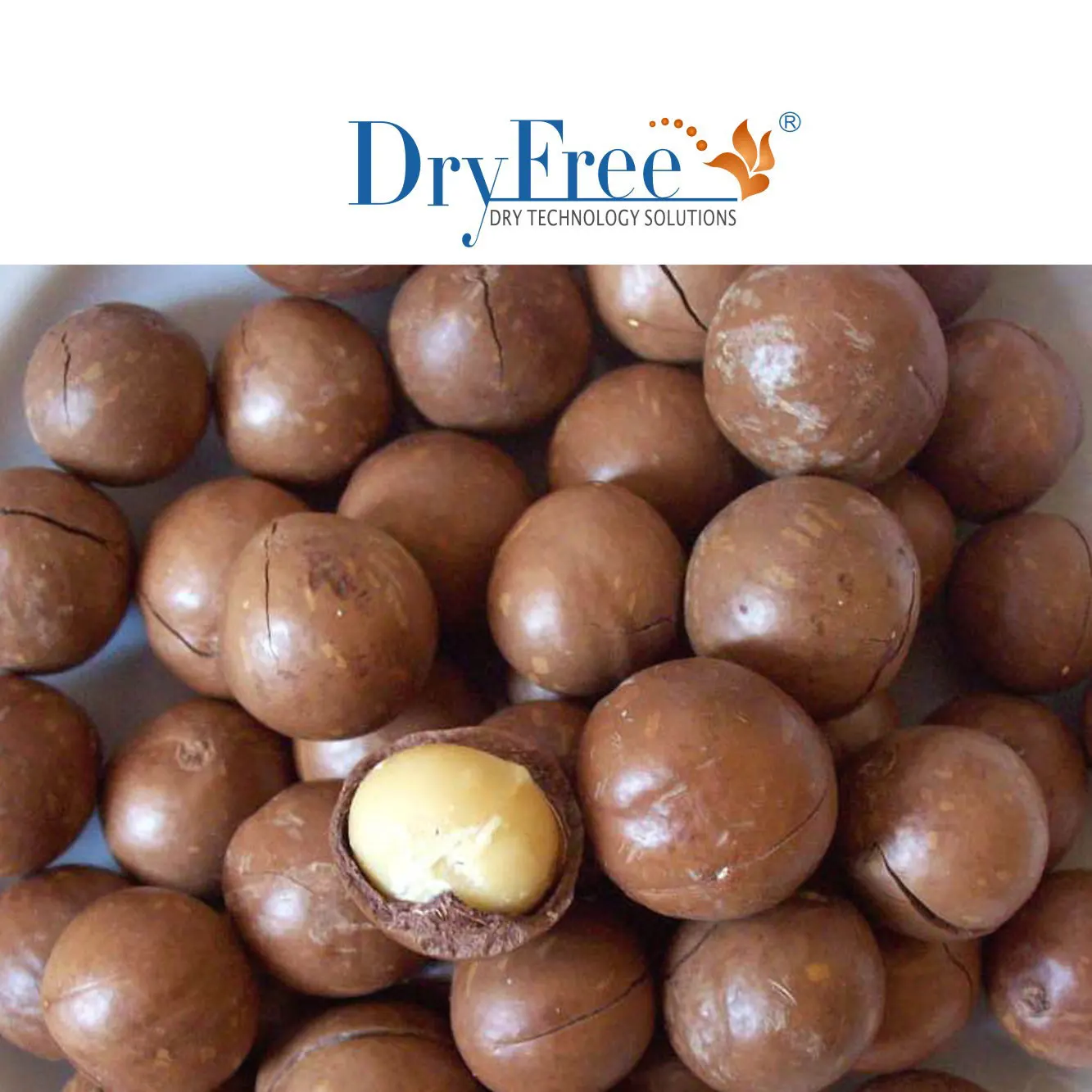 Hot air circulation high efficiency turmeric drying machine food fruit fish meat drying oven machine for sale