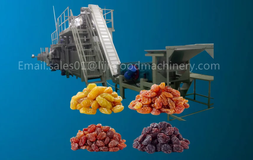 Industry raisin drying machine onion dryer with factory price