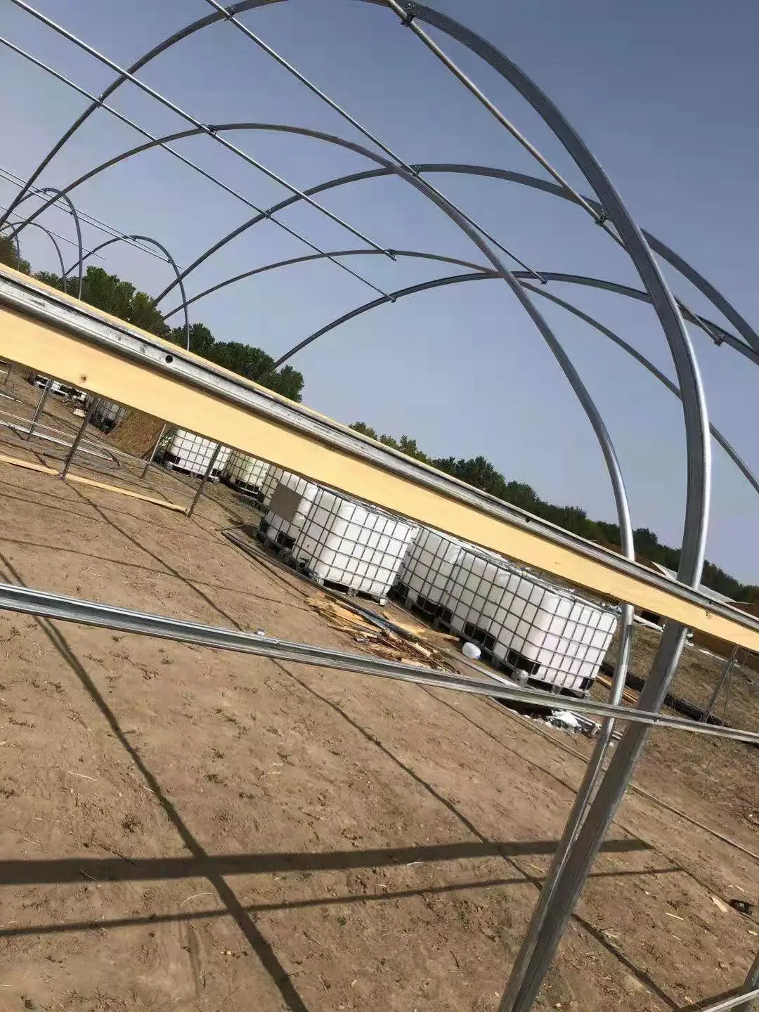 poly film tunnel greenhouse