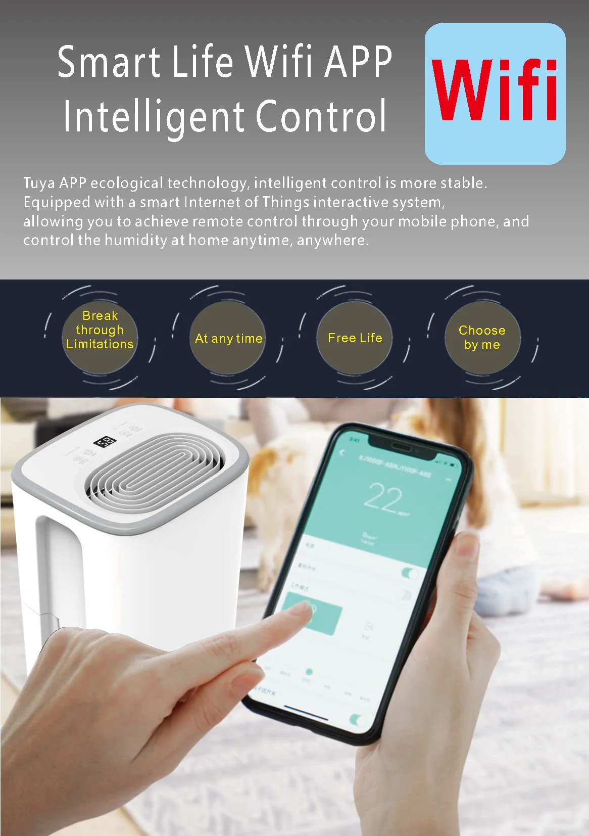 Factory Wholesale Desumidificador WIFI Digital Humidity Display 12L/Day Smart home use small Dehumidifier Dryer