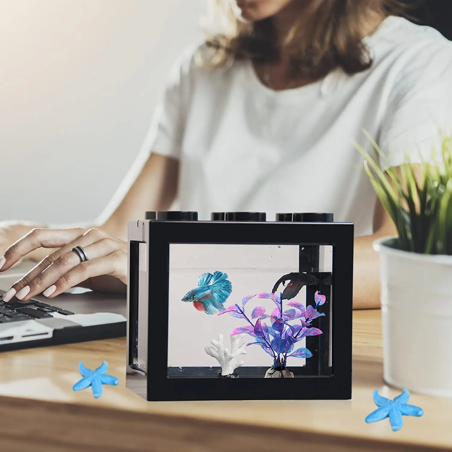 [Elosung] Mini Aquarium Betta Fish Tank - USB LED Lighting, Small Aquarium Office Viewing, Transparent Acrylic Fish Tank
