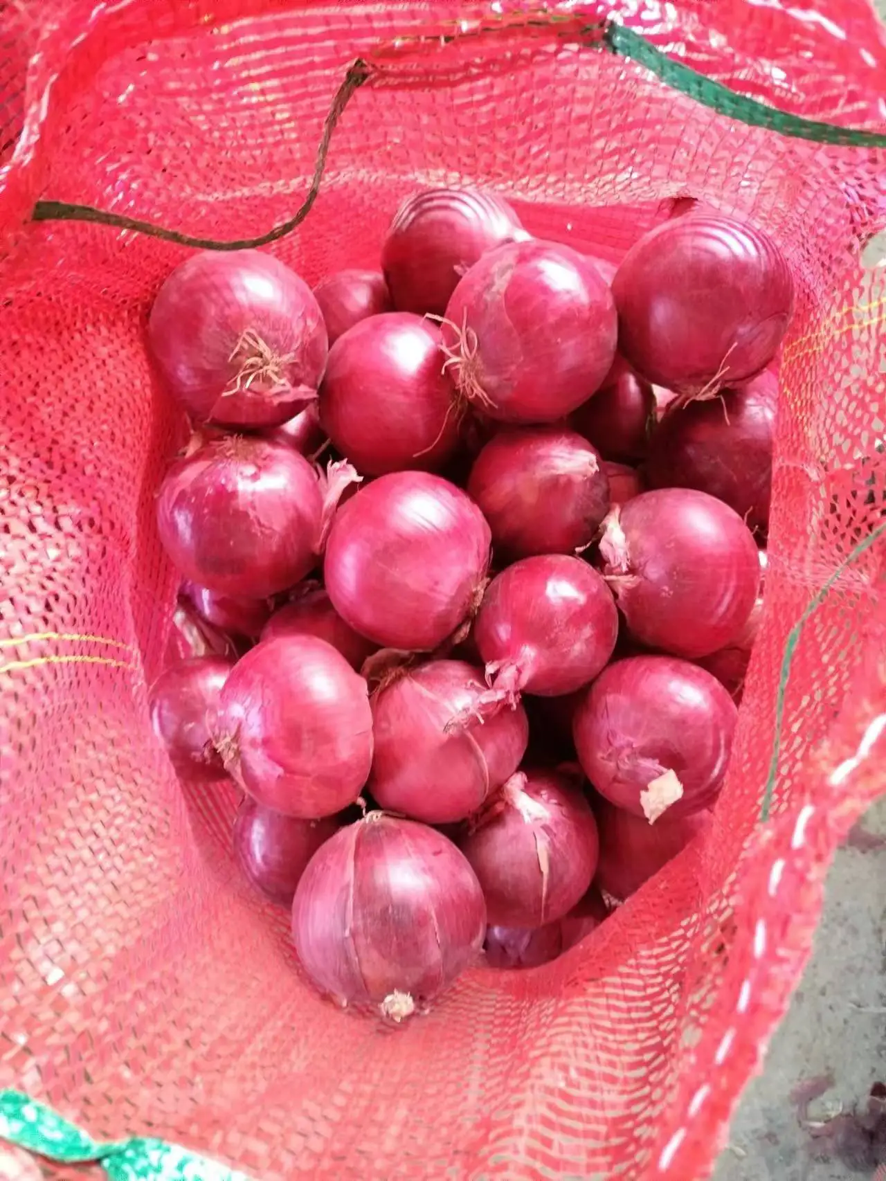 Buy Red Onion Chinese Fresh Yellow Onion Mesh Bag Price