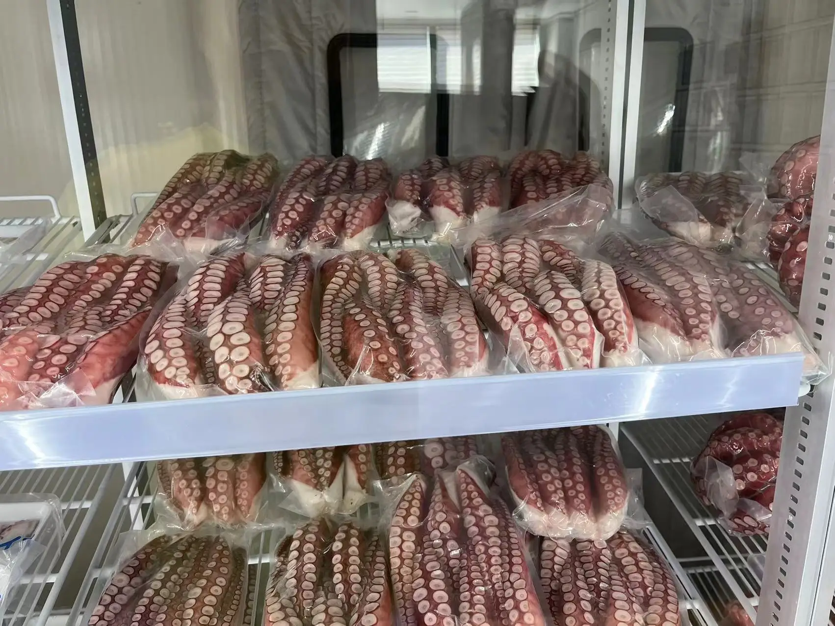 Frozen cooked  octopus WR IQF Cooked Octopus WHOLE ROUND  Octopodidae