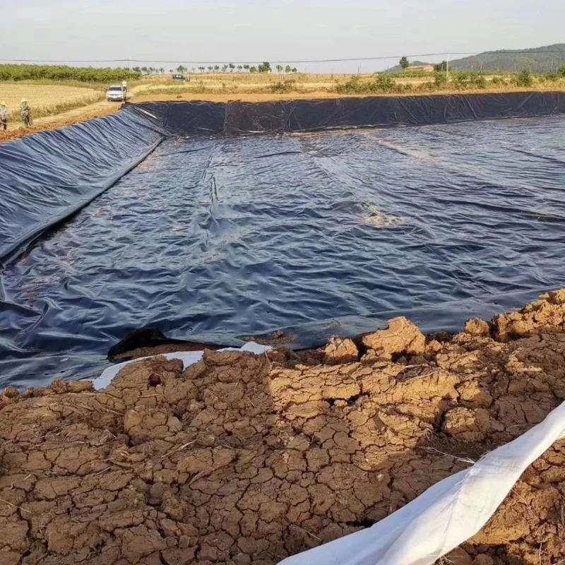 Tear Resistance 0.2mm-2.5mm Dam Waterproof Membrane HDPE Liner Geomembrane