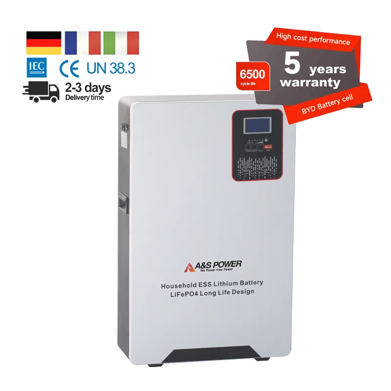 Stock In Europe USA Lithium Iron Phosphate Battery Pack 12V 24V 100AH LFP Baterias De Litio Lifepo4 Energy Storage Power Station