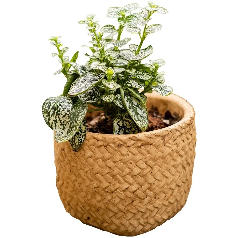 Simulation Straw Cement Flower Pot Succulent Green Plant Flower Ware Bonsai Ideas Brown Vintage Ornaments Villa Courtyard