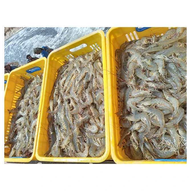 Farm White Pawns Wholesale Cheap Bulk Natural Seafood Top Quality  Frozen Bulk Fresh Complete Vannamei Shrimp