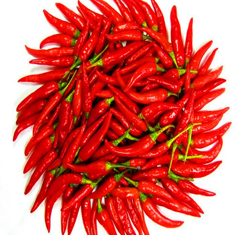 Wholesale Red Chili Powder Spices Mixed Yellow Bag Top Chinese Hot Style Packing Food Color Cooking Chilli Herbs Weight Form